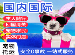 乌兰浩特航空托运国际宠物托运 【国